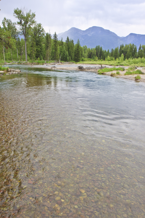 The swift, clear waters of the Swan River roll northward. In the distance, summits in the remote Swan Range. Photo by Jason D.B. Kauffman.