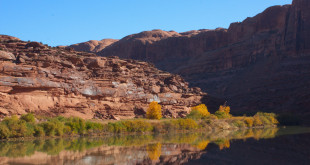 the colorado river utah Moab_by Corey Burger_Flickr