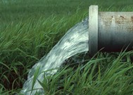 Understanding the Basics of Water Law in Montana
