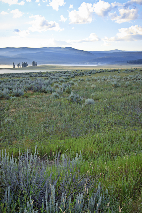 Tendrils of early morning fog roll across the western end of the Potomac Valley. The Garnet Range, where the state of Montana is poised to pick up more than 32,000 acres of former Plum Creek timberland sometime in October, is in the distance. Photo by Jason D.B. Kauffman.